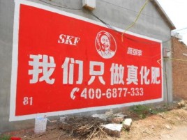 南部刷墙广告”蕴含了时代命题
