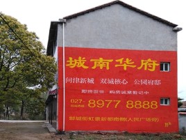 南部百分之90的人都不了解的农村墙体广告