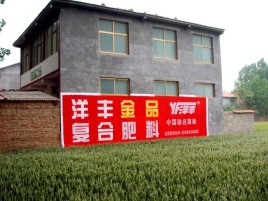 南部如何让墙体广告展现最大化效果