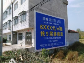 南部墙体广告质量分析