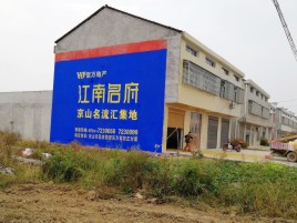 南部农村墙体广告在不同形式上面展现的不同特色