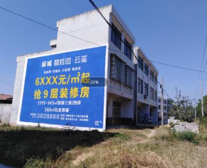 如何策划南部墙体广告的投放？