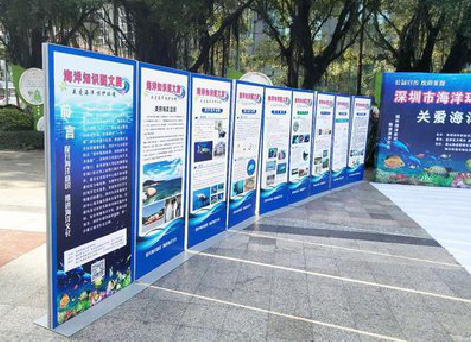 南部KT板的种类和知识。